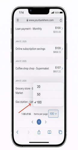 Transactions per page placeholder